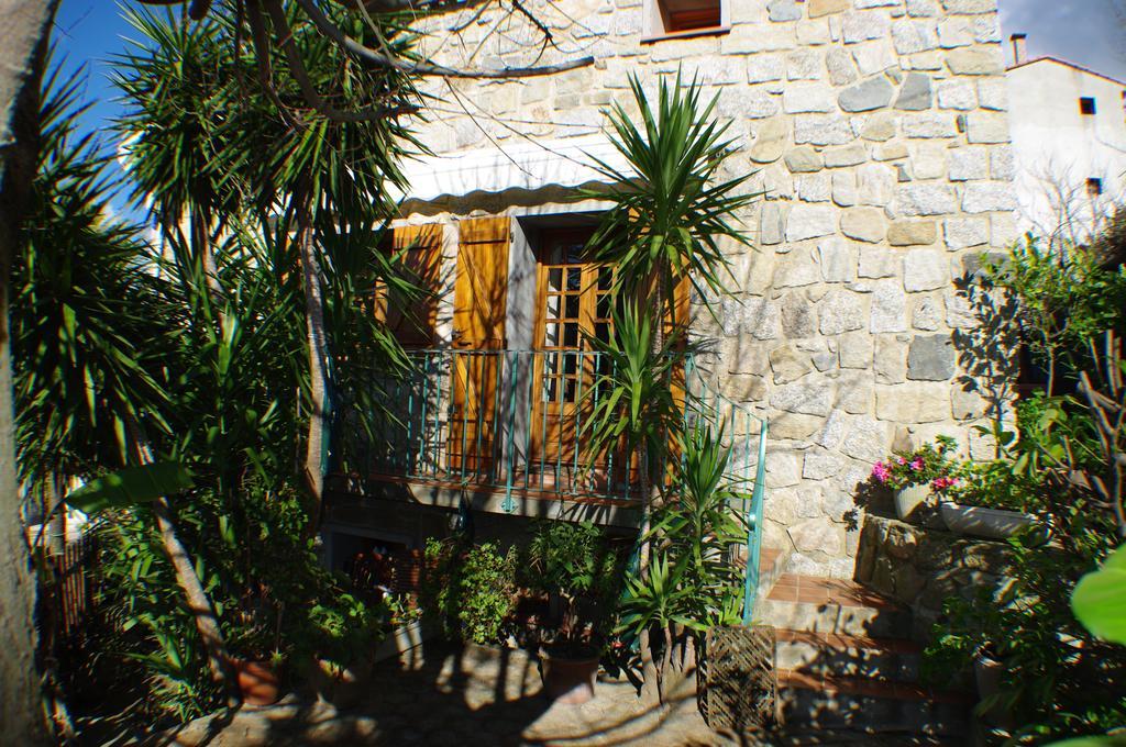 Gite , Maison De Vacances Avec Exterieur Et Terrasse Fleurie Meuble Tourisme 3 Etoiles Santa-Lucia-di-Tallano Exteriör bild