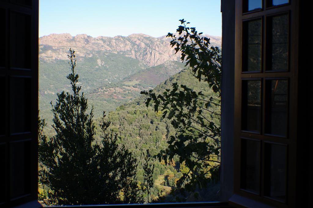 Gite , Maison De Vacances Avec Exterieur Et Terrasse Fleurie Meuble Tourisme 3 Etoiles Santa-Lucia-di-Tallano Exteriör bild