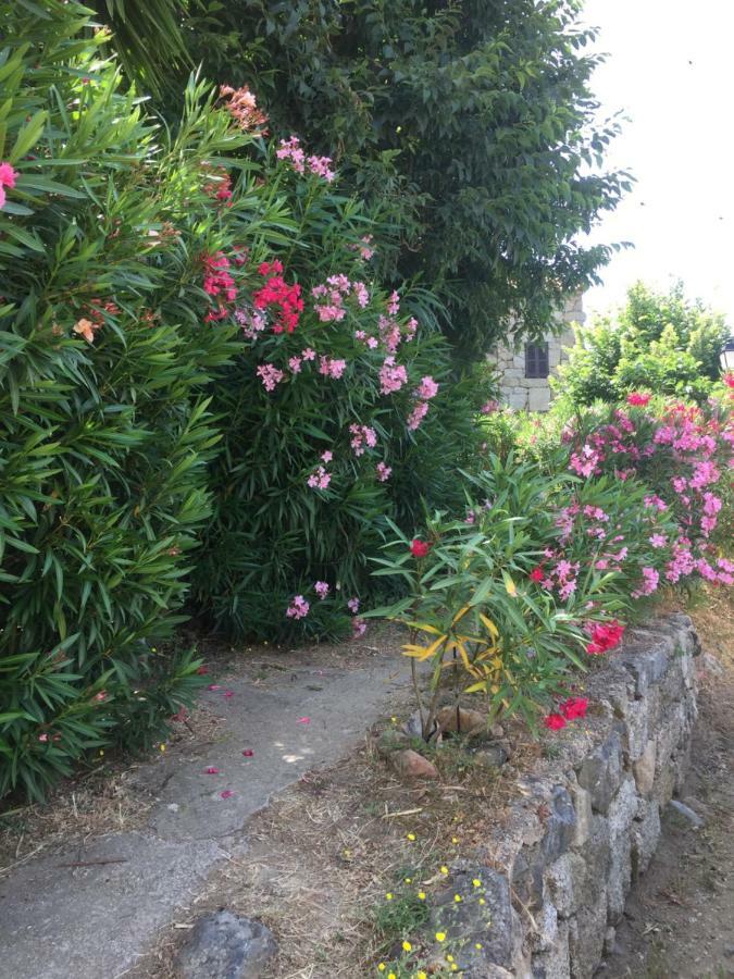 Gite , Maison De Vacances Avec Exterieur Et Terrasse Fleurie Meuble Tourisme 3 Etoiles Santa-Lucia-di-Tallano Exteriör bild