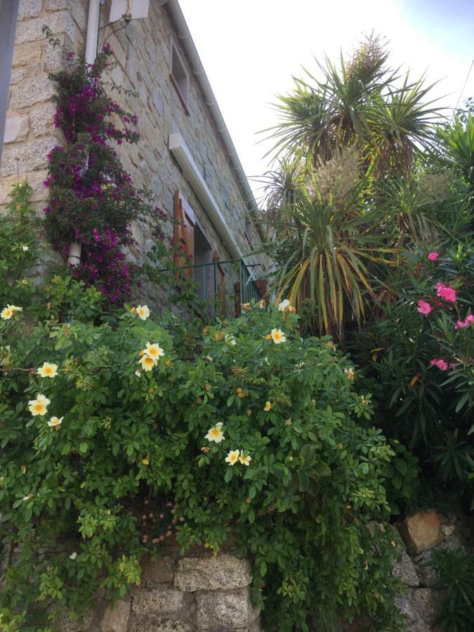 Gite , Maison De Vacances Avec Exterieur Et Terrasse Fleurie Meuble Tourisme 3 Etoiles Santa-Lucia-di-Tallano Exteriör bild